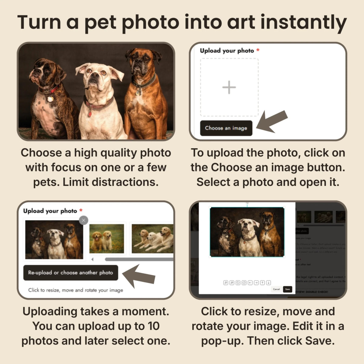 6 Instructions Oil Painting Pet Horizontal